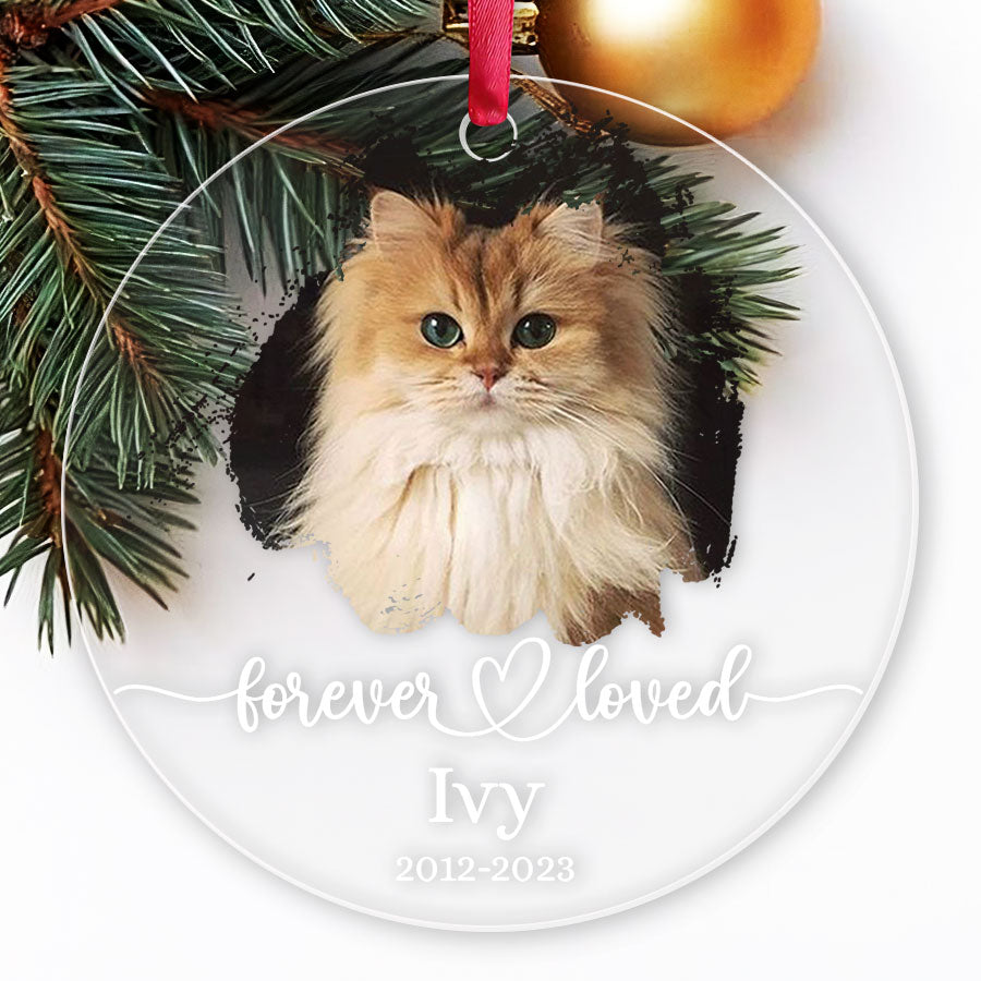 Cat Memorial Ornament Photo