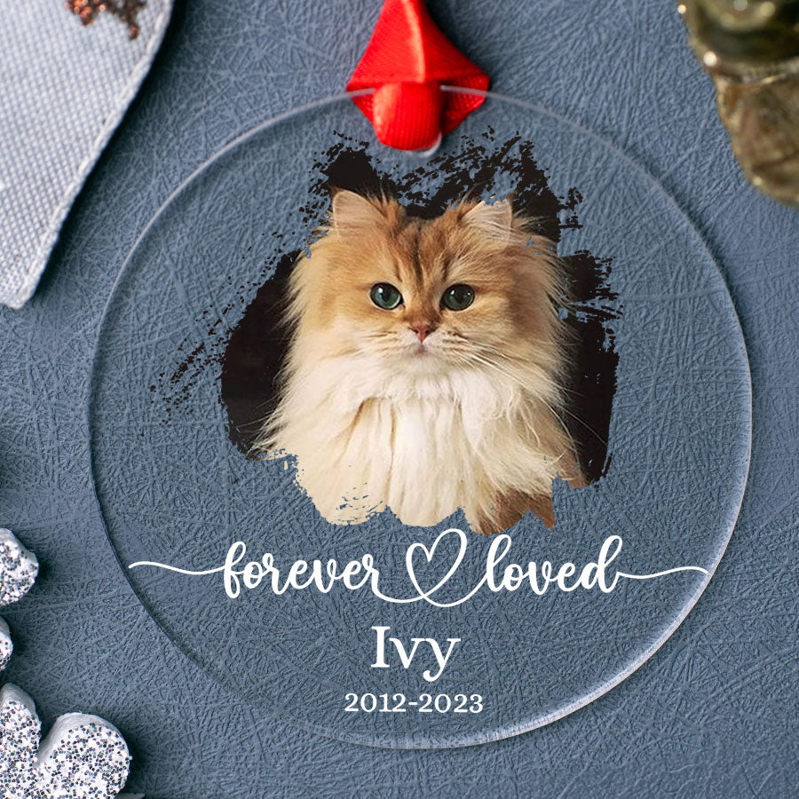 Cat Memorial Ornament Photo