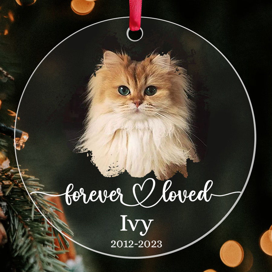 Cat Memorial Ornament Photo