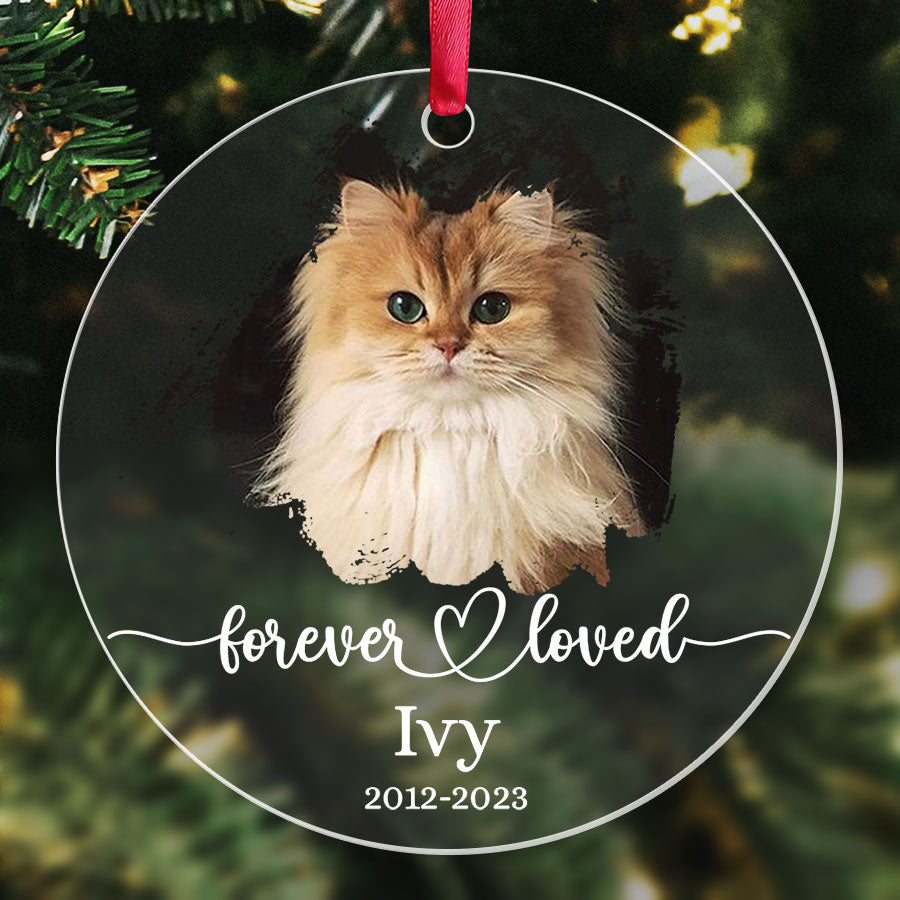 Cat Memorial Ornament Photo