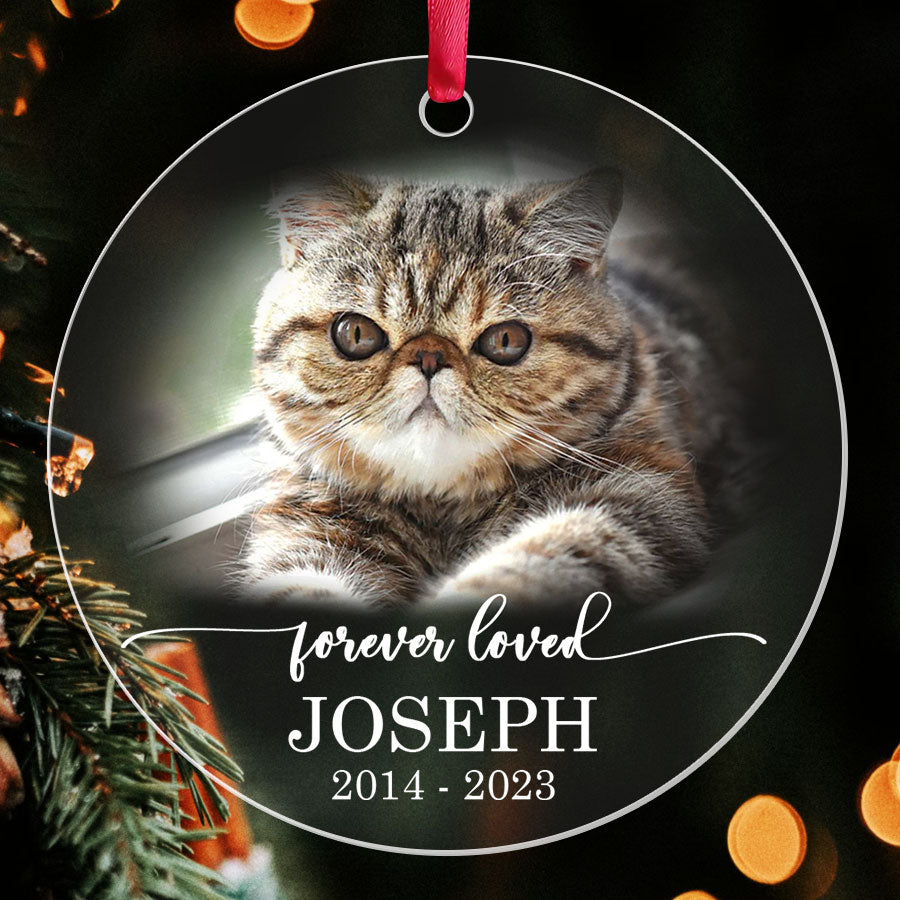 Cat Ornaments Personalized