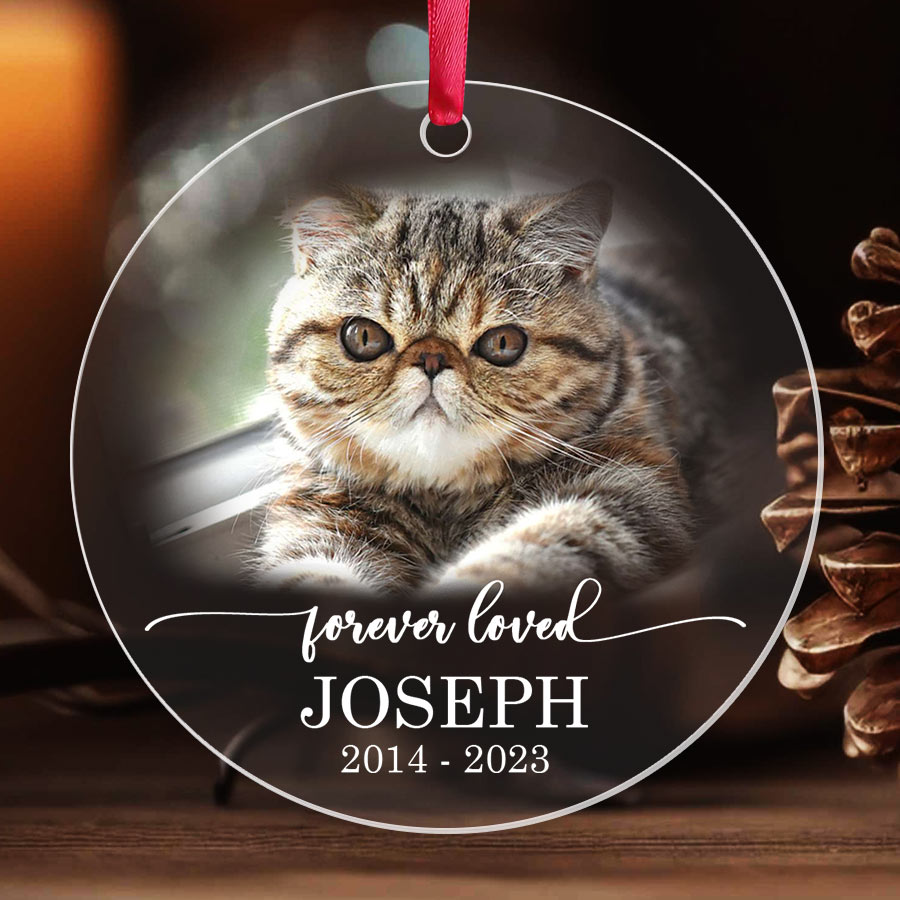 Cat Ornaments Personalized