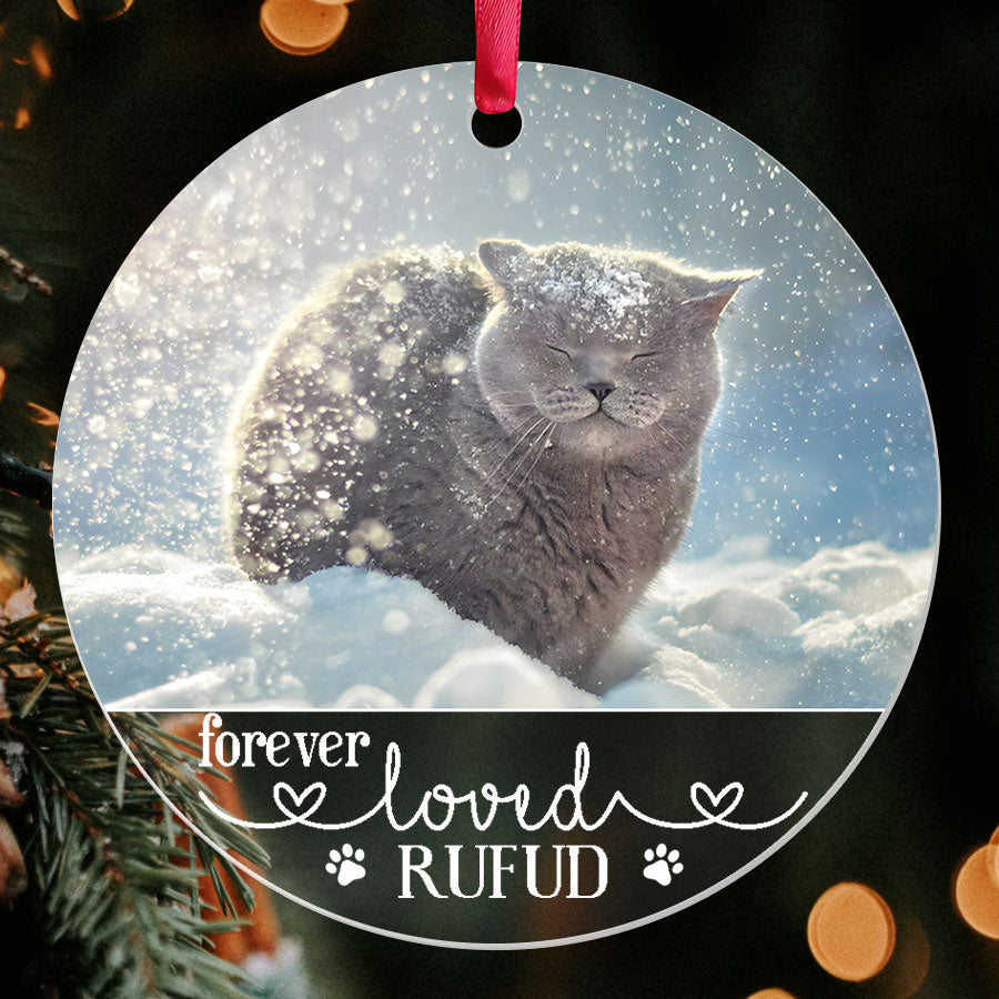 Cat Ornaments Personalized