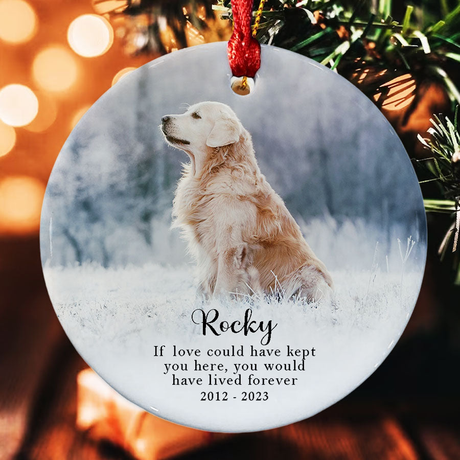 Pet Picture Ornament