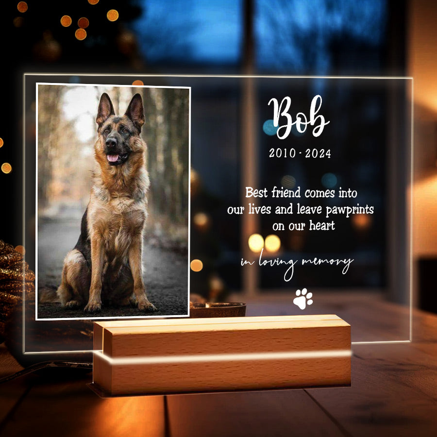 Best Friend Comes Into Our Lives Plaque