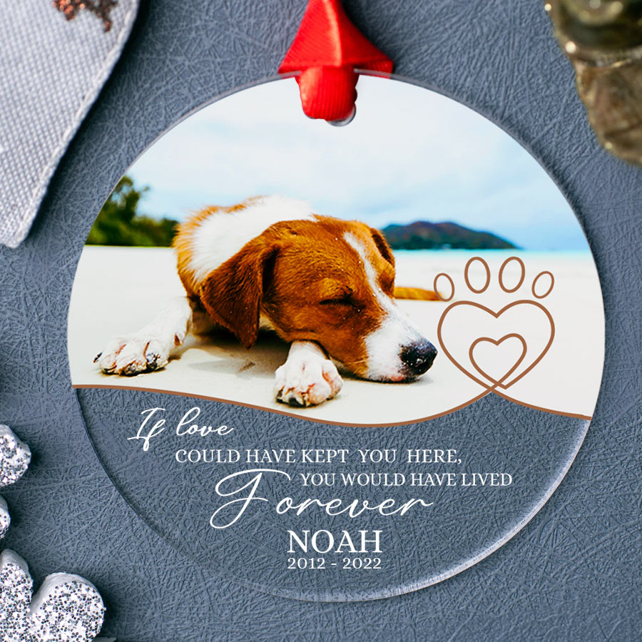 Pet Remembrance Ornament Photo Memorial Ornaments Ornament For Dog